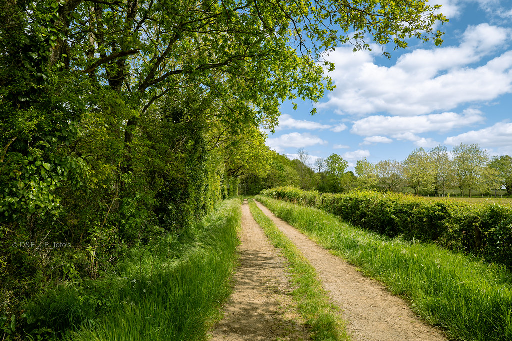 Le bocage vendéen est champêtre