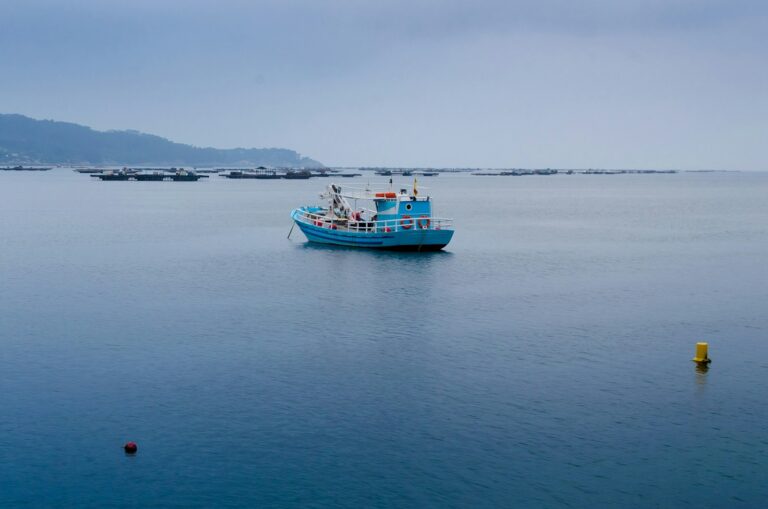 Article | Les méthodes ravageuses de la pêche commerciale
