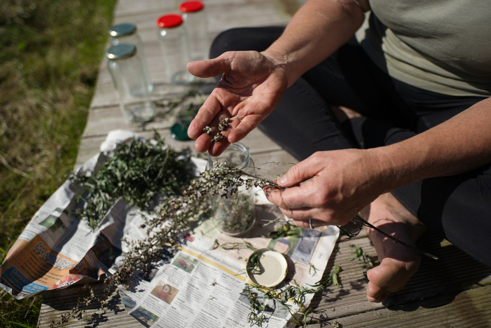 Vague de chaleur : astuces pour préserver vos plantes aromatiques