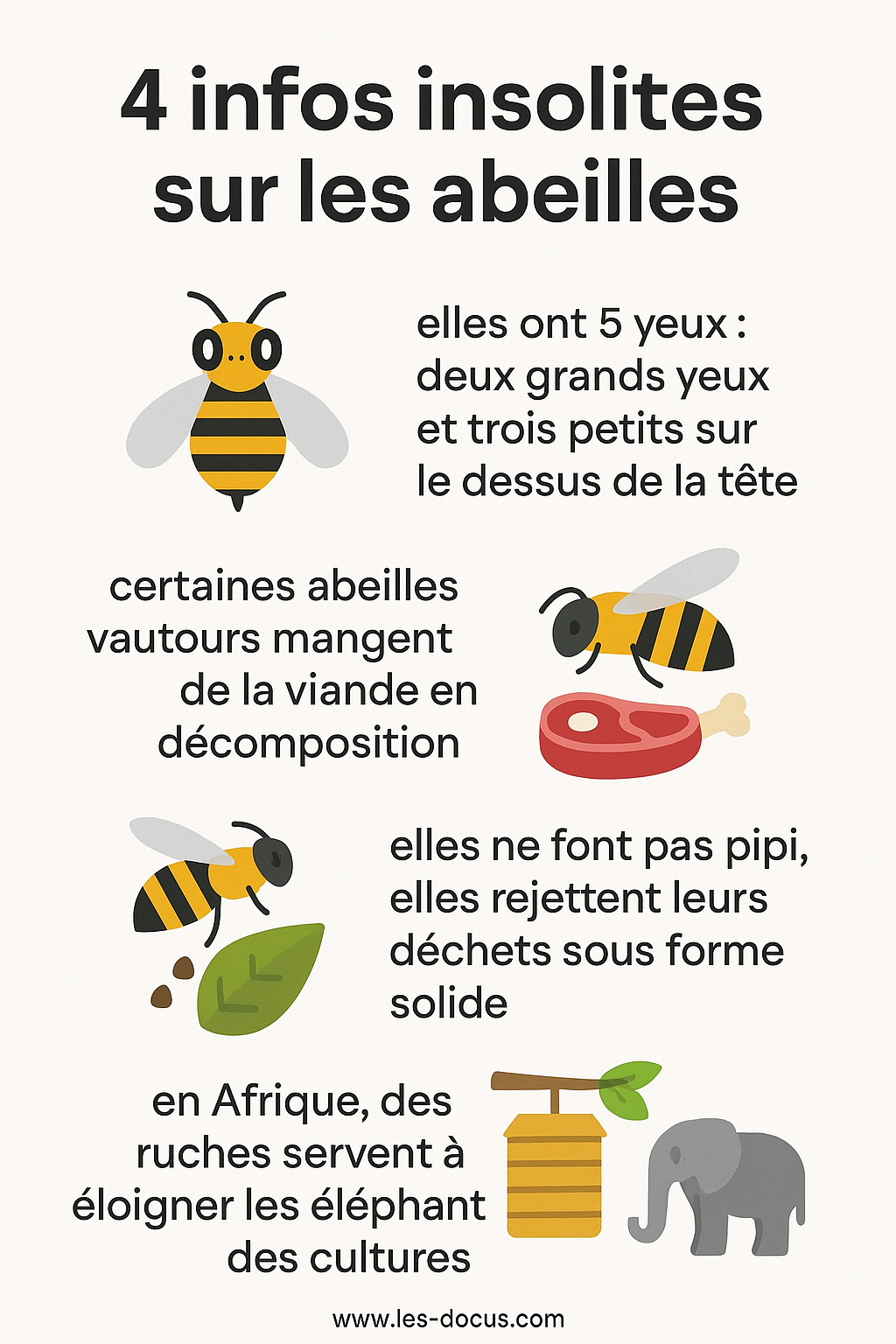 Infographie | 4 faits insolites sur les abeilles