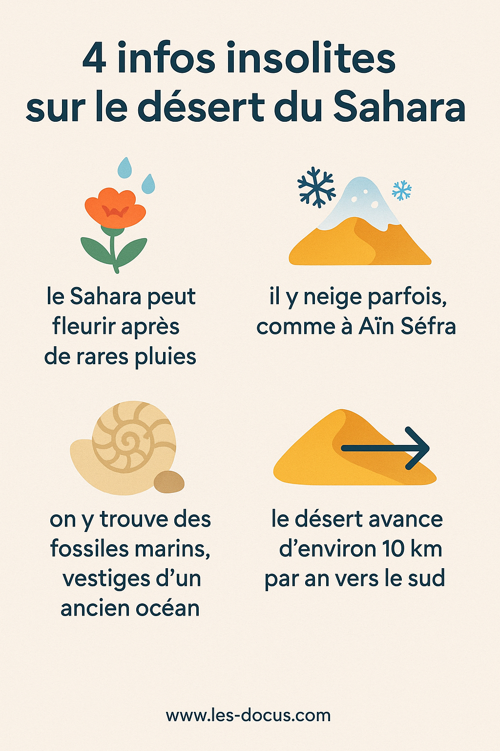 4 infos insolites sur le désert du Sahara