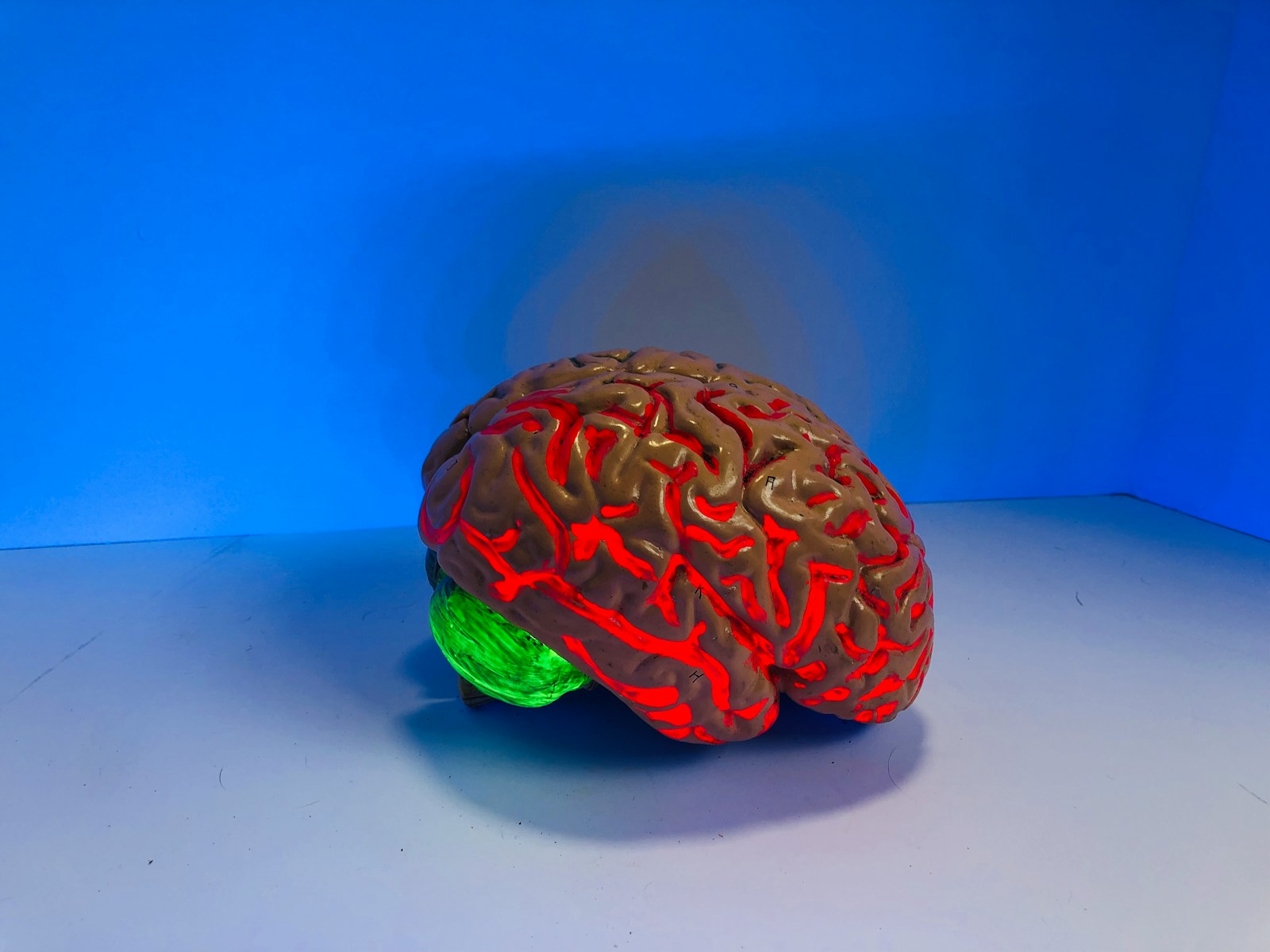 6 aliments à ajouter à votre quotidien pour booster la santé de votre cerveau