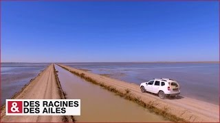 Andalousie : les surprenantes rizières de Séville