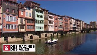 Castres : son histoire se lit dans ses façades !
