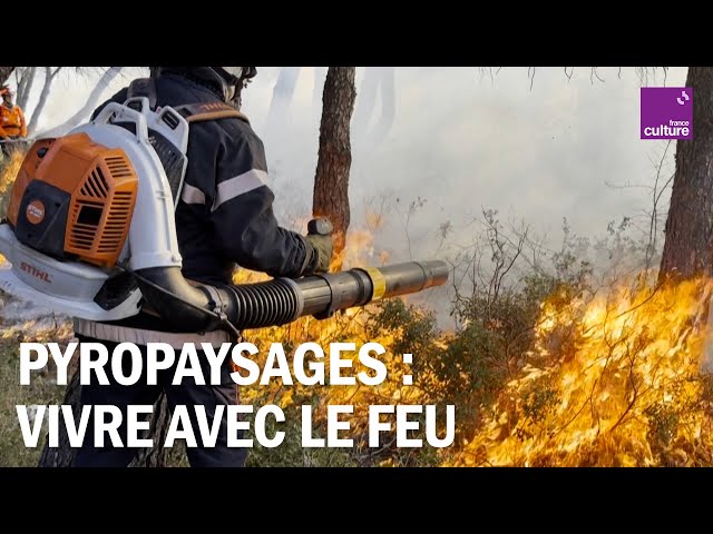 Comment limiter les incendies en réorganisant le paysage ?