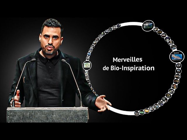 Merveilles biomimétiques de l'océan Indien
