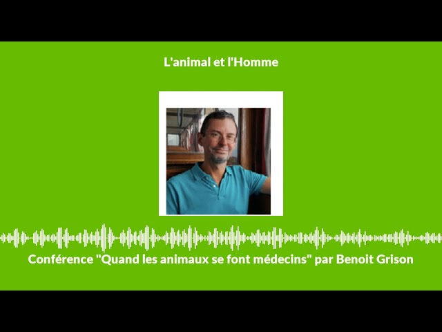 Quand les animaux se font médecins