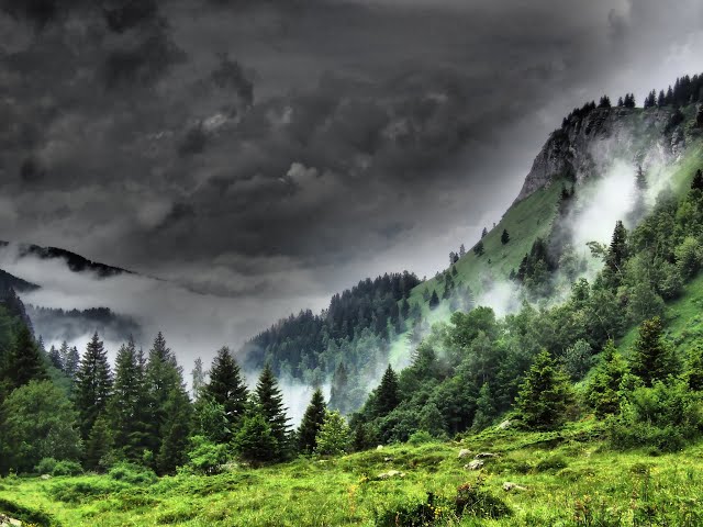 Changements climatiques et dynamique des forêts de montagne