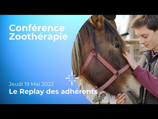 Les bienfaits de la médiation par l'animal