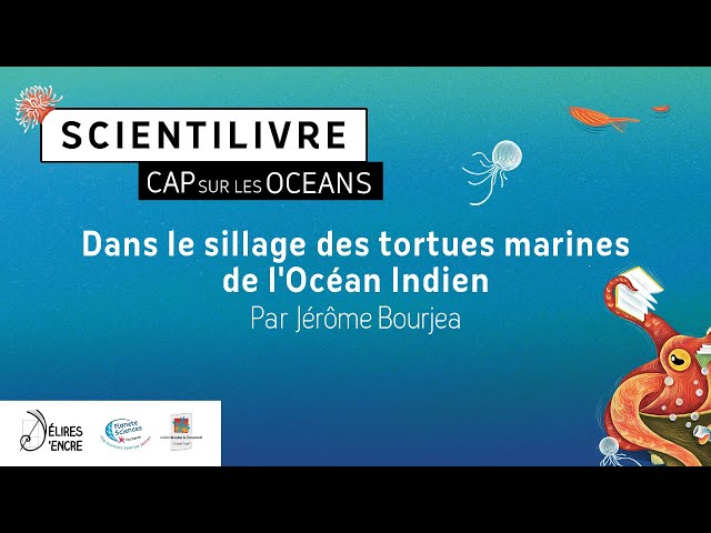 Dans le sillage des tortues marines de l’Océan Indien