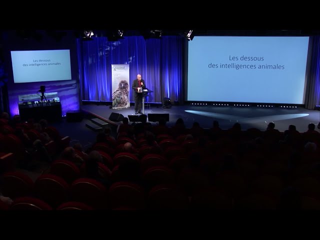Les dessous des intelligences animales