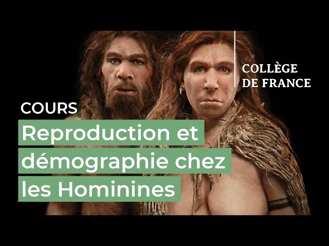 Reproduction et démographie chez les Hominines