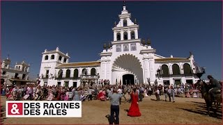 El Rocío : ce pèlerinage festif est le plus important d'Espagne