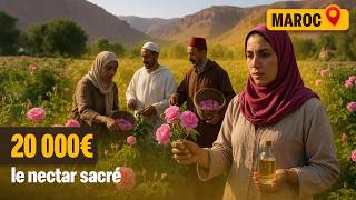 Maroc : la vallée des roses de Damas attire les plus fortunés
