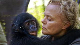 Muriel Robin & les derniers bonobos du Congo