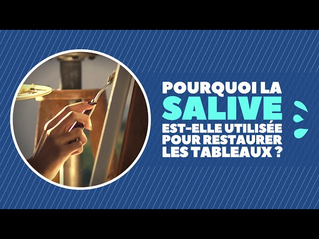 Pourquoi la salive est-elle utilisée pour restaurer les tableaux ?