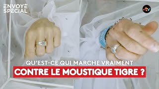Qu’est ce qui marche vraiment contre le moustique tigre ?