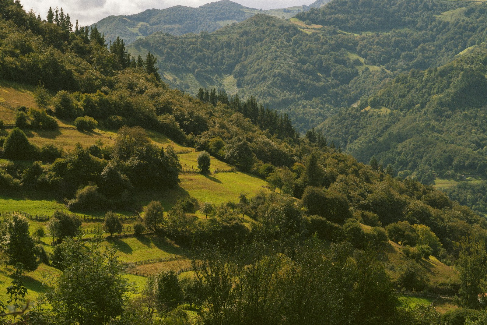 Asturies : une terre d'authenticité et de générosité