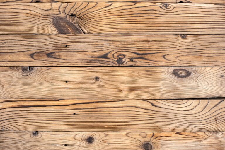 Article | Comment sélectionner le meilleur bois pour rénover sa terrasse ?