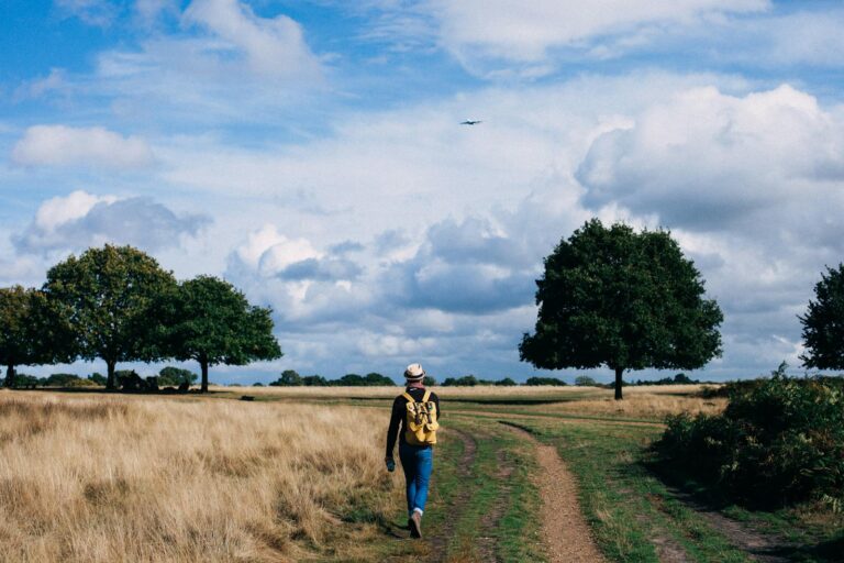 Article | Course ou marche : laquelle dépense le plus d’énergie pour une distance identique ?