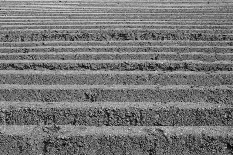 Article | La grande famine irlandaise : mildiou et tragédie