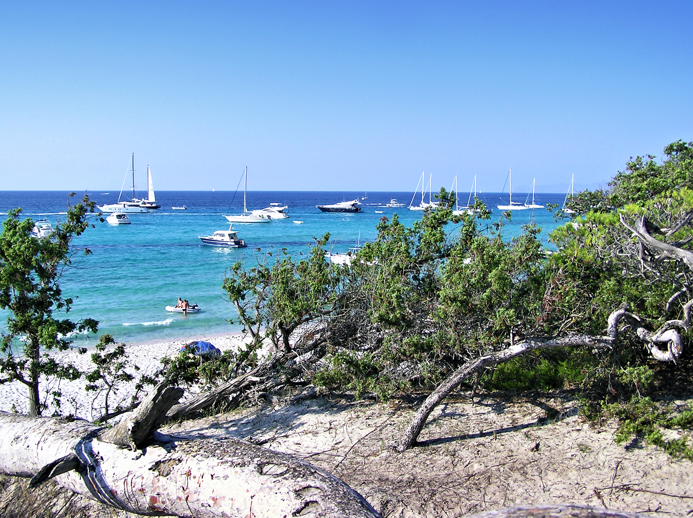 La plage de Saleccia en Corse