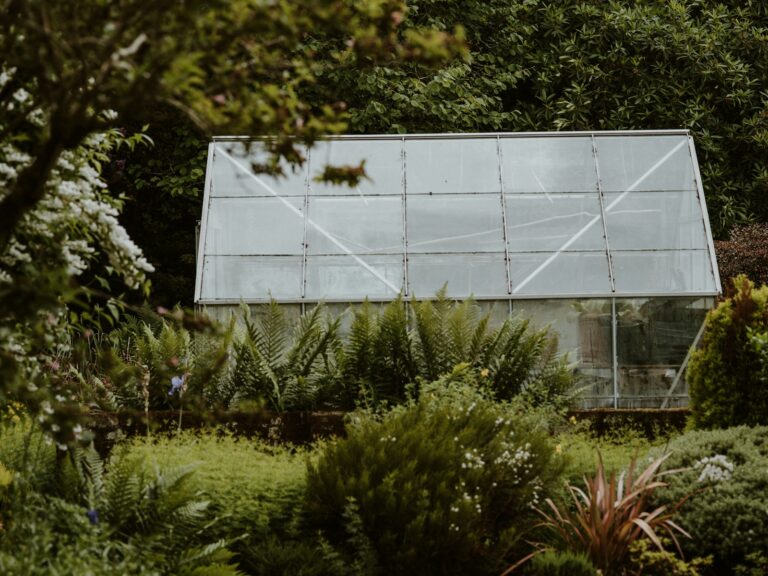 Article | Préparer efficacement le sol avant d’installer une serre de jardin : les étapes clés