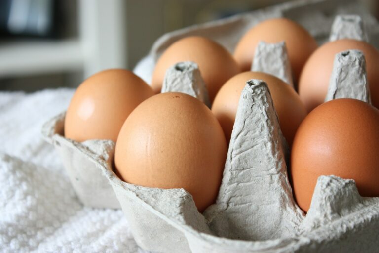 Article | Quelle cuisson des œufs préserve le mieux leur teneur en protéines ?