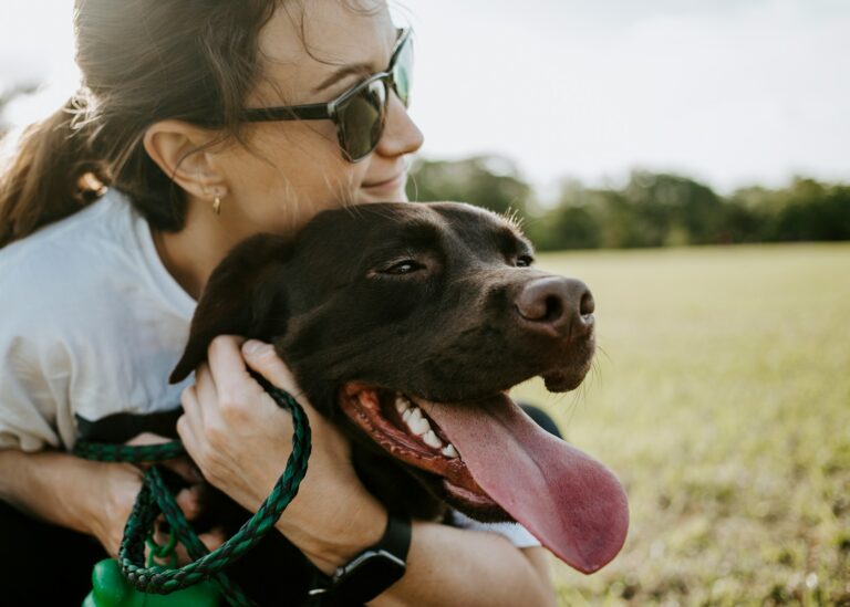 Article | Quelles sont les chiens les plus fidèles ?