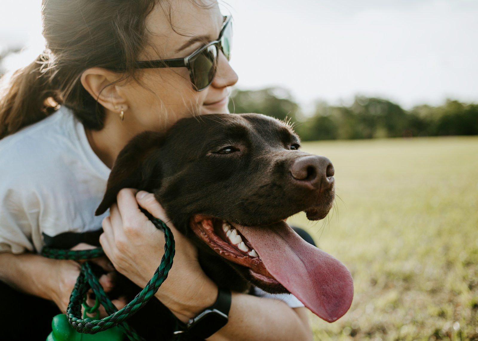 Quelles sont les chiens les plus fidèles ?