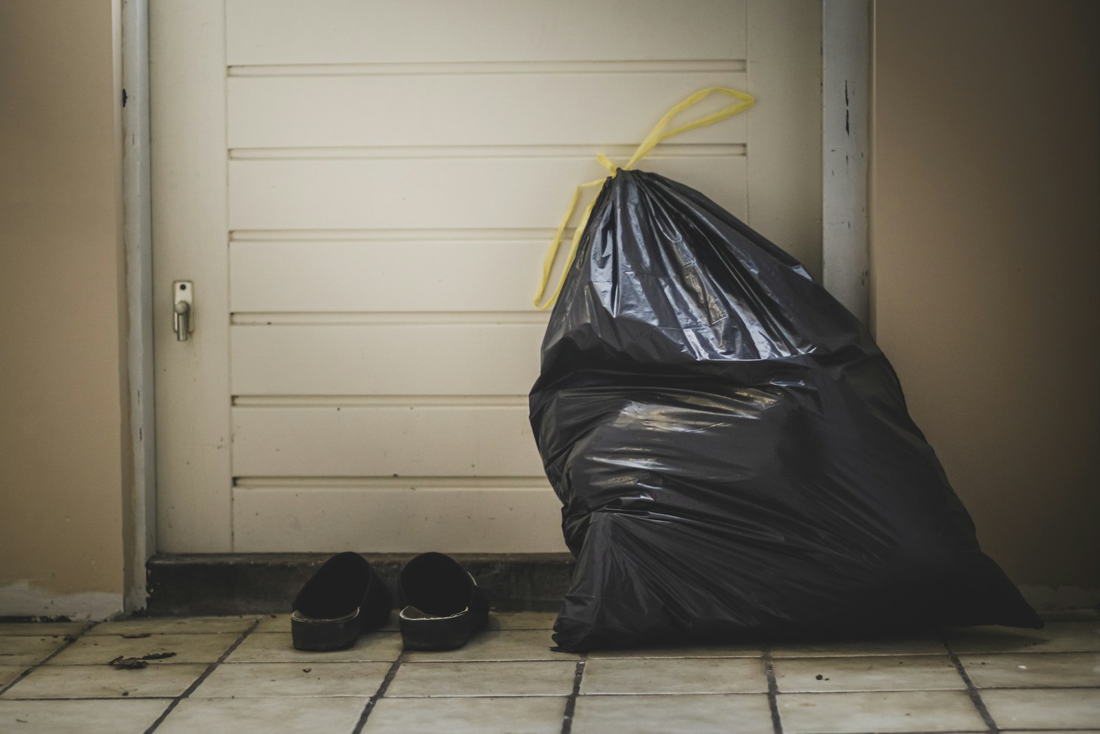 Quelques astuces efficaces pour tenir les moucherons à distance des poubelles