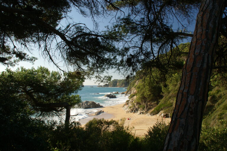 Article | Top 7 des plages secrètes à découvrir absolument en Méditerranée