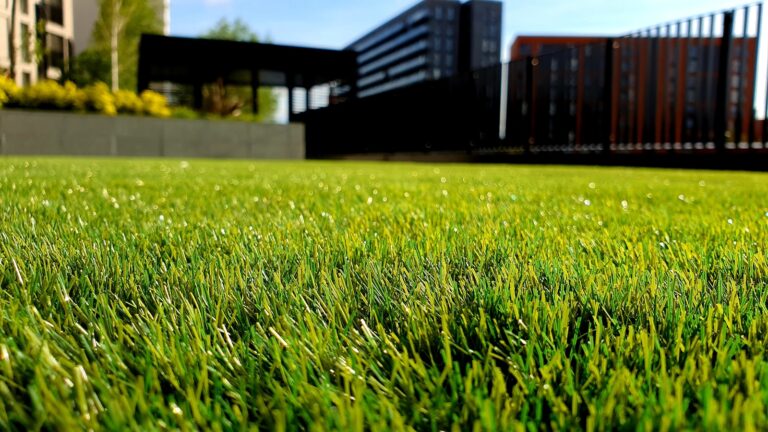 Article | Top 7 erreurs à éviter pour entretenir sa pelouse