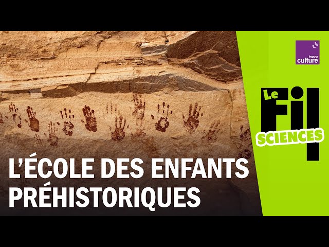 À la préhistoire, les enfants allaient-ils à l'école ?