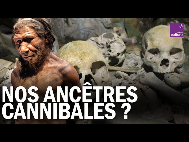 Cannibalisme à la préhistoire : quand l’Homme dévorait l’Homme