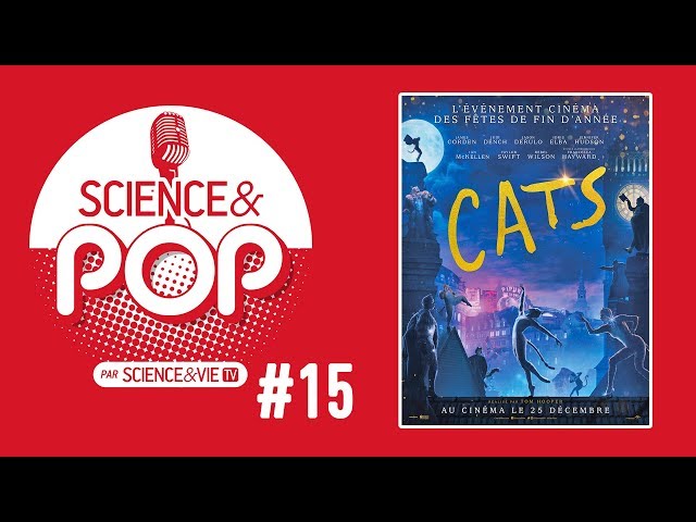 Cats : le comportement des chats