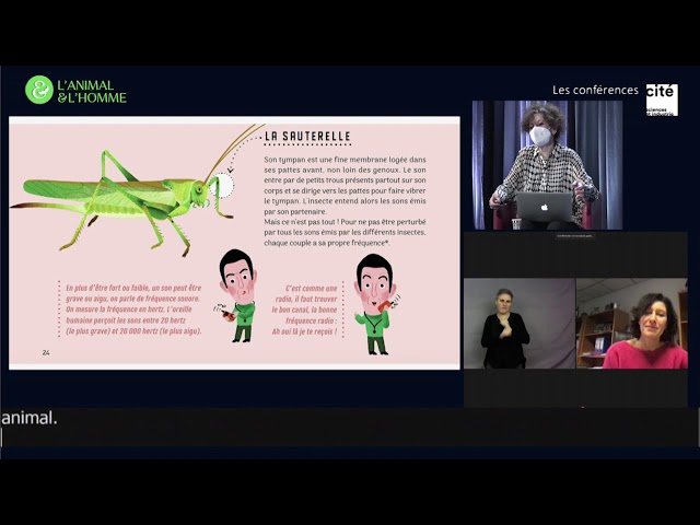 Dans la peau des animaux au travers des 5 sens