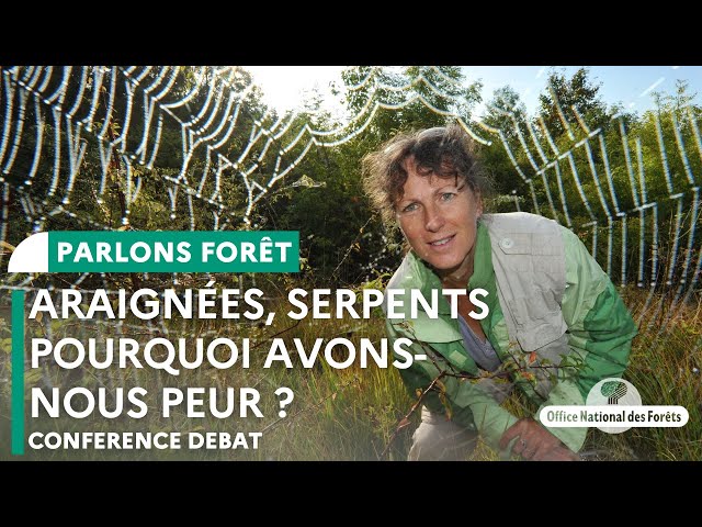 Même pas peur ! Araignées, serpents pourquoi avons nous peur ?