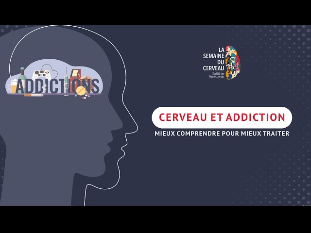 Cerveau et addiction