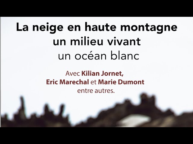 La neige en haute montagne