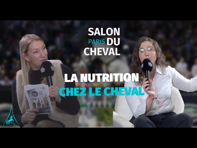 Les bases de la nutrition pour prendre soin de son cheval