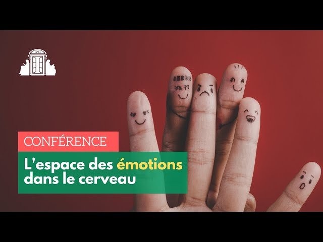 L'espace des émotions dans le cerveau
