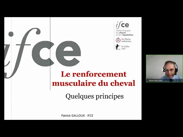 Développer la musculature de son cheval : quelques règles