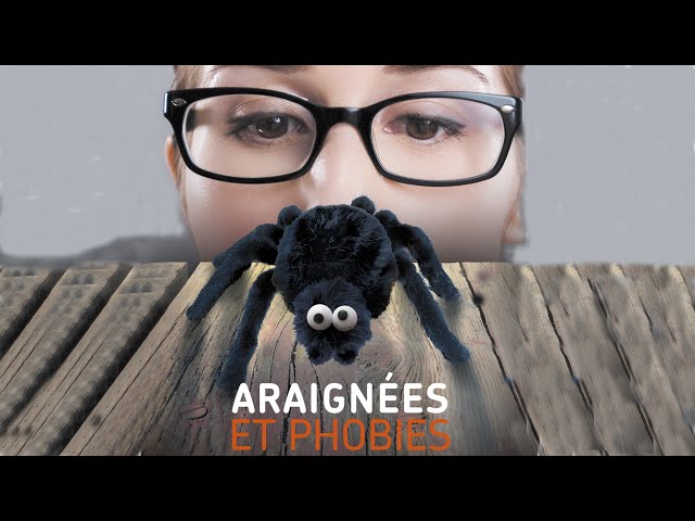 Araignées et phobies