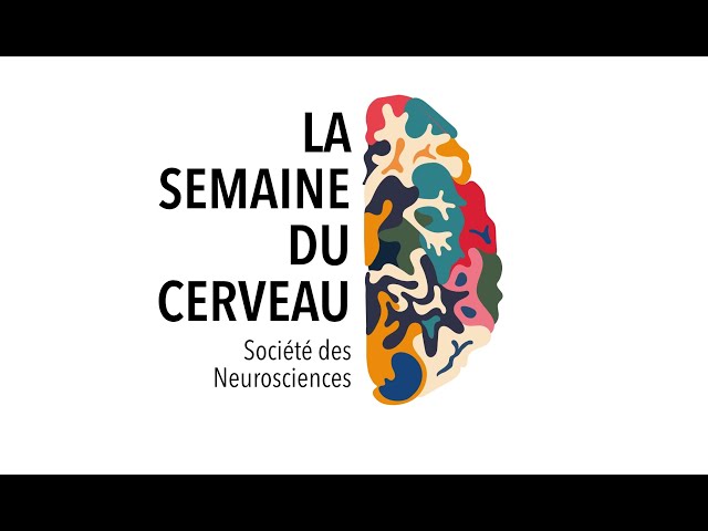 Prise de décision et addiction
