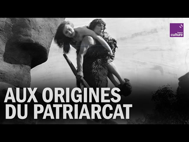 Domination masculine : une histoire de 3 millions d’années ?