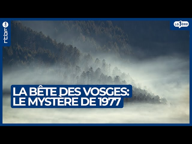 La bête des Vosges : le mystère des centaines d'animaux tués en 1977