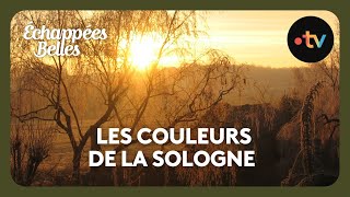 Les couleurs de la Sologne