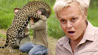 Muriel Robin et le Jaguar du Pantanal, le prédateur suprême