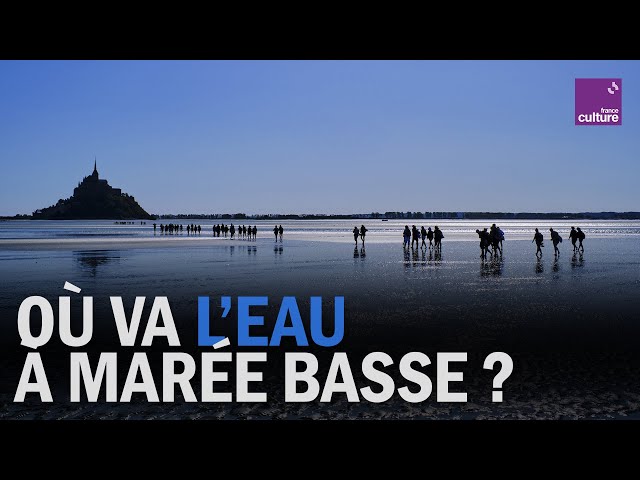 Où va l’eau à marée basse ?